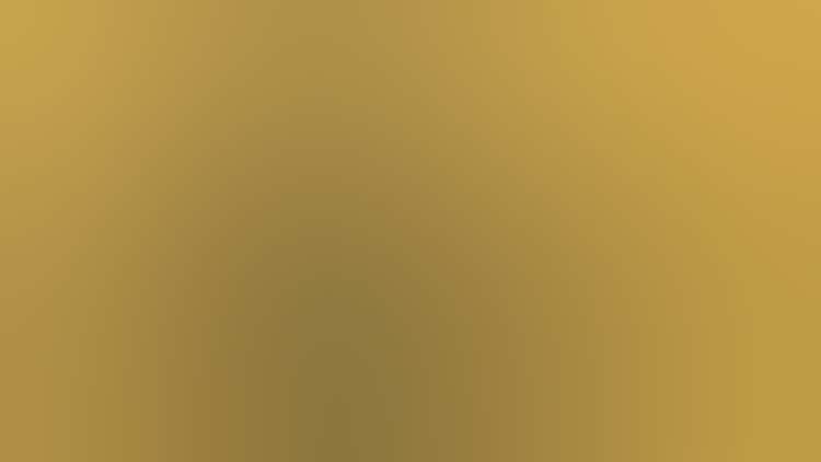 01 Banner Germanebarnes Pantheonii