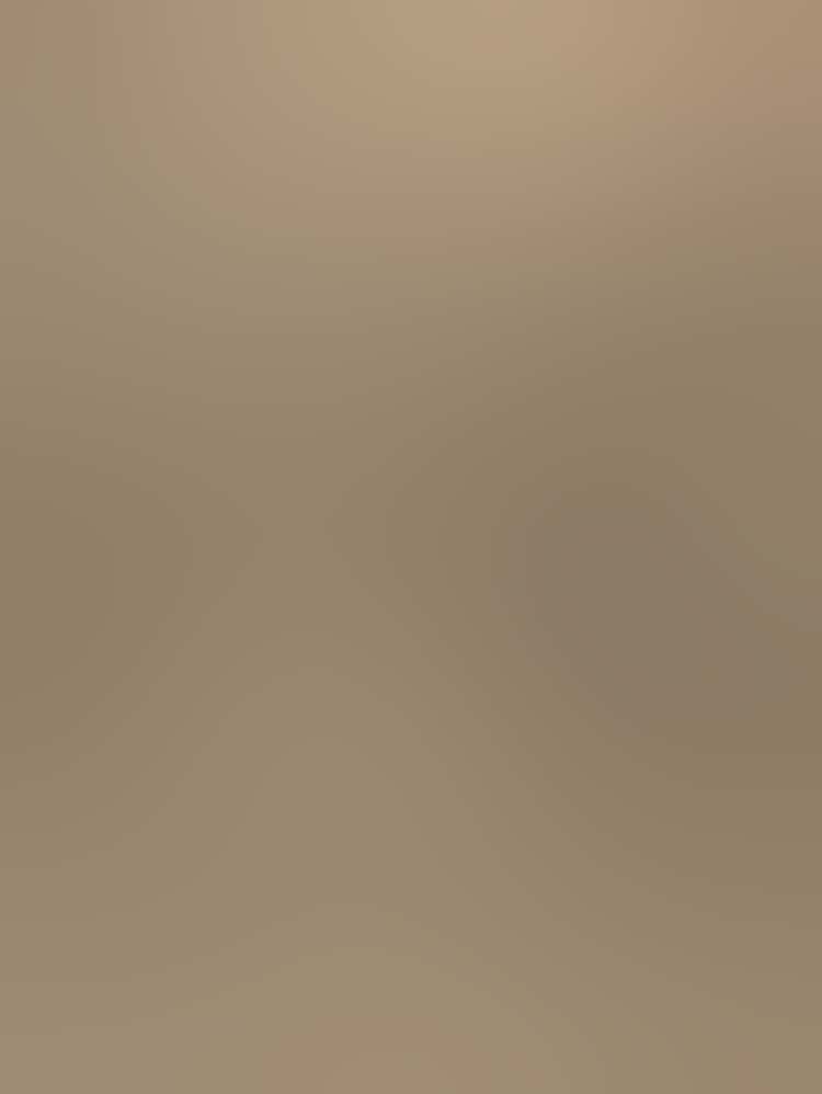 0607 Fig 022 Gm 00010401