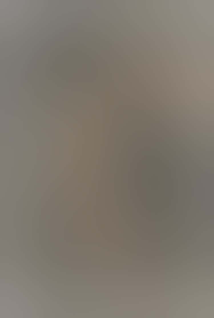 0607 Fig 144 J16723 Int