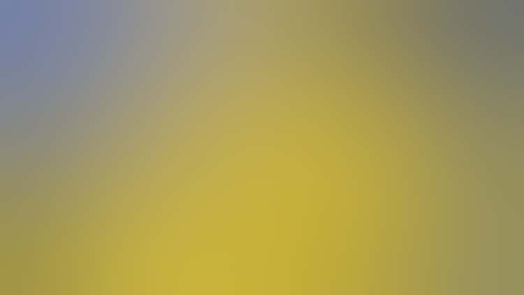 Microscopic image of a pigment used in a painting.