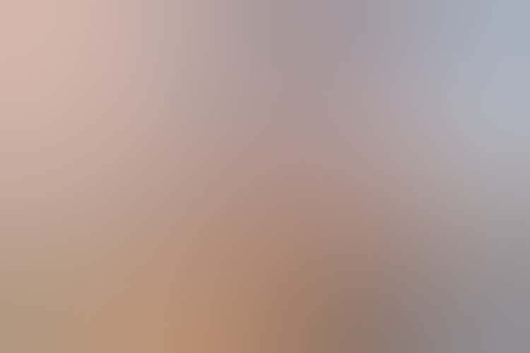 202210129 Aic Artexchange 29