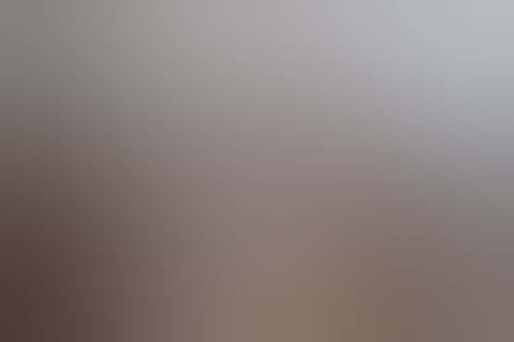 Aic Gallery Tour 061