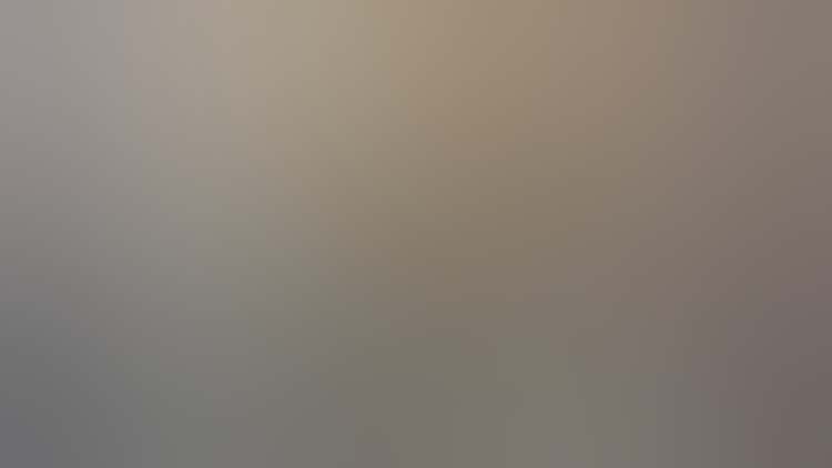 Art Institute Fc 0622 0190