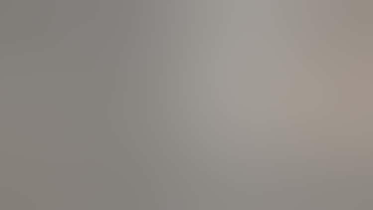 Screen shot from the Alfred Stieglitz microsite