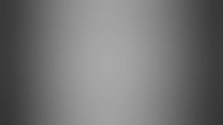 Exh Van Gogh Search Feature 480crop 0