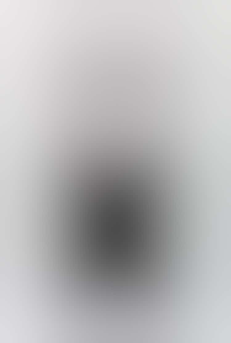 GAINE91656 Press (300ppi, 3000px, sRGB, JPEG)