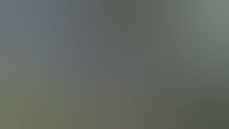 Im039573 Int Web