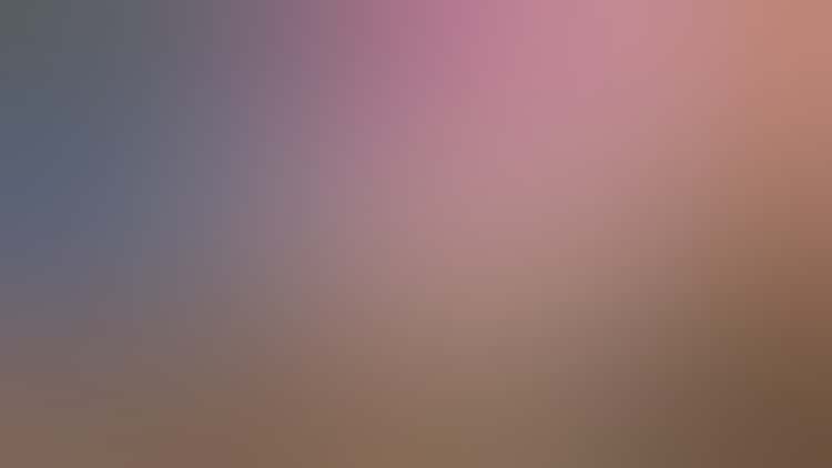 J14620 003 Test