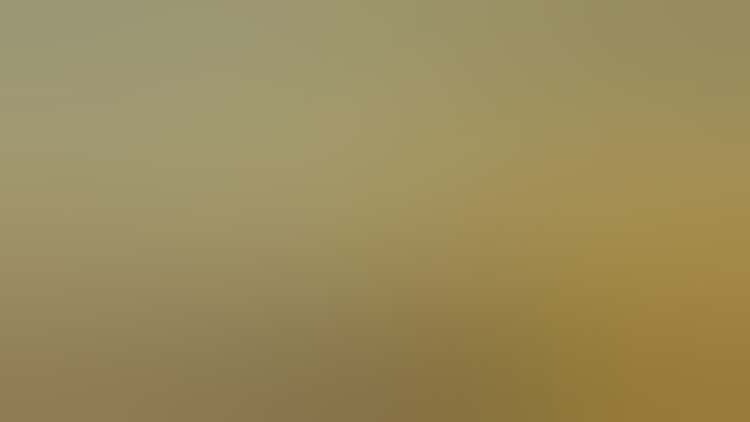 J4319 Int Banner